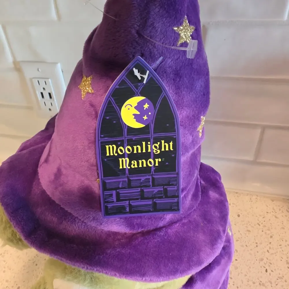 Moonlight Manor Halloween TikTok Viral Wizard Frog Weighted Plush Sitter NEW